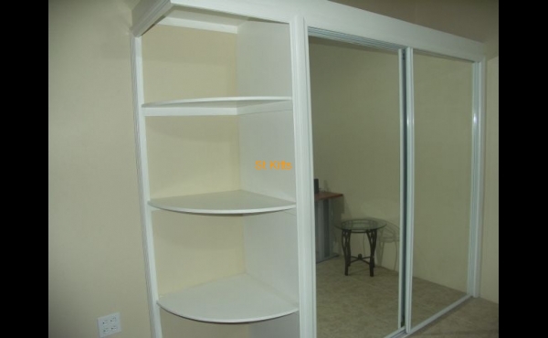 Closet with Shelf space