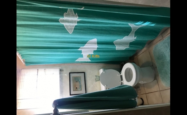 Bathroom with shower and toilet