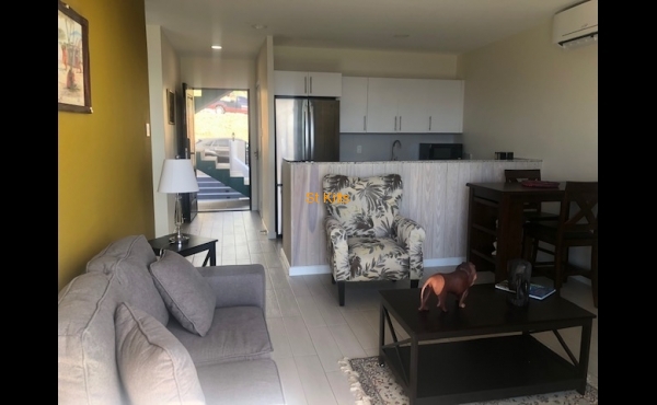 View from living area