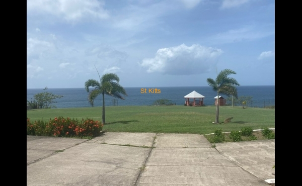 View from Apartment