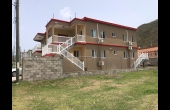 Side View