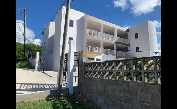 Back of Property - Ocean View