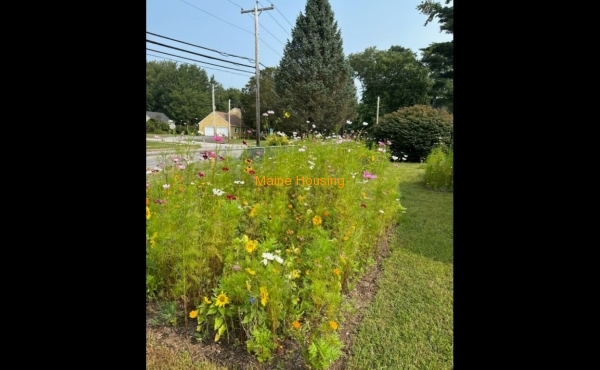 Flower Garden Flower Garden