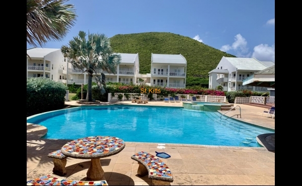 Paradise Real Estate KN