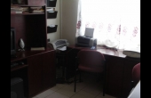 Study Area