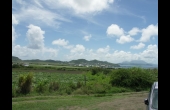 outside