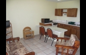 Kitchen and Living area